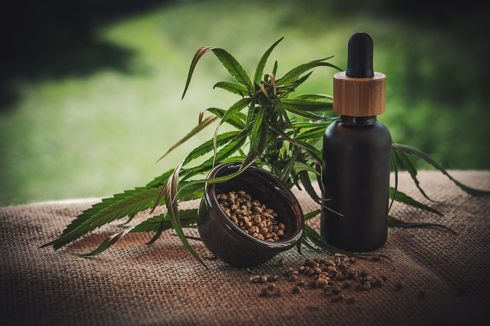 Guide complet de la germination des graines de cannabis